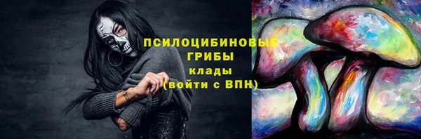 тгк Козельск