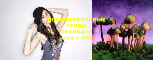 a pvp Козловка