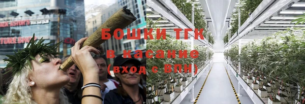 тгк Козельск