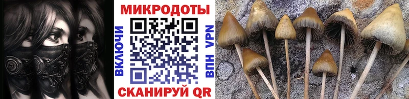 Псилоцибиновые грибы Psilocybe  Красновишерск 